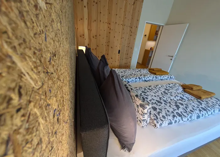 Penthouse Bergblick Salzkammergut 公寓 巴德伊舍