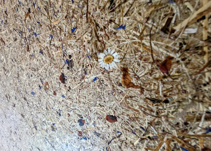 Penthouse Bergblick Salzkammergut Bad Ischl